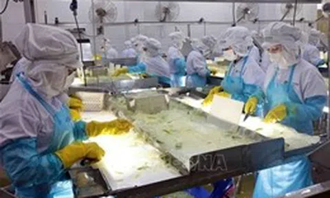 Bộ Công Thương đẩy mạnh loạt giải pháp hỗ trợ doanh nghiệp, hộ kinh doanh