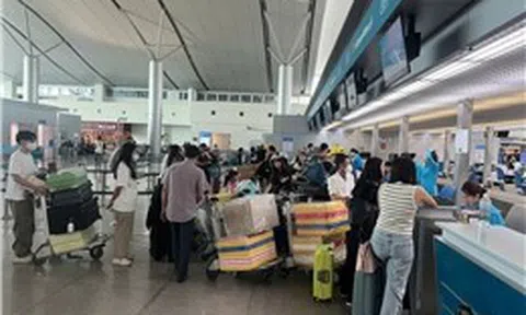 Hàng không, du lịch xoay xở vượt khó