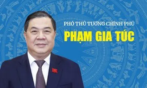 Infographic: Tiểu sử tóm tắt Phó Thủ tướng Chính phủ Phạm Gia Túc