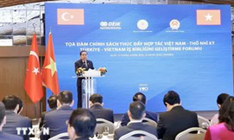 Thúc đẩy mạnh mẽ hợp tác kinh tế, thương mại, đầu tư và du lịch giữa Việt Nam - Thổ Nhĩ Kỳ