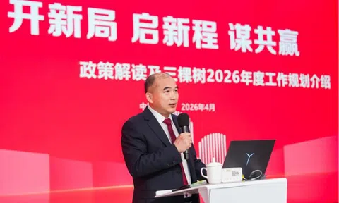 3Trees đứng số 1 toàn cầu về sản lượng bán hàng sơn giả đá năm 2025, thúc đẩy chiến lược quốc tế