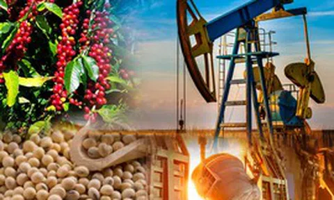 THỊ TRƯỜNG HÀNG HÓA: Sắc xanh lan tỏa, MXV-Index vượt ngưỡng 2.800 điểm