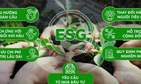 Việt Nam trước cơ hội hút vốn ESG toàn cầu