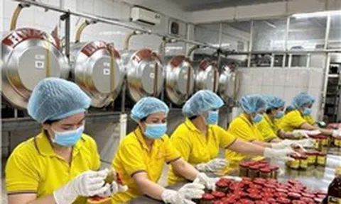 Tăng 'lá chắn' an toàn lao động trong doanh nghiệp