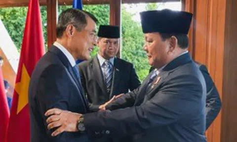 Thủ tướng Lê Minh Hưng gặp Tổng thống Indonesia