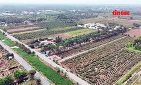 Đất nền giá rẻ trên đất nông nghiệp: Cẩn trọng mất tiền oan