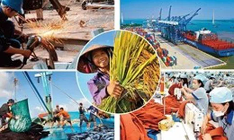 Từ 1/7/2026 chỉ còn 142 ngành, nghề đầu tư kinh doanh có điều kiện