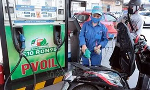 Xăng E10 có gây hại động cơ như nhiều người lo ngại?