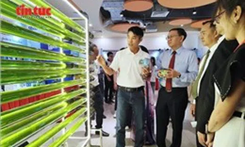 TP Hồ Chí Minh tổ chức Techmart Công nghệ xanh và Tuần hoàn 2026