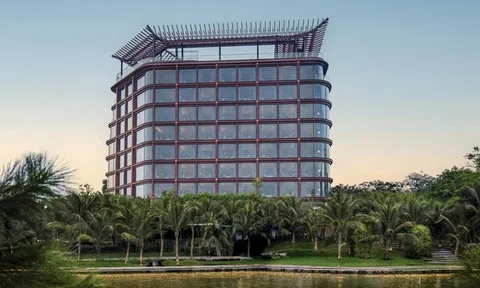 Cổ phiếu OCH tăng trần 4 phiên liên tiếp nhờ kế hoạch M&A, lập đỉnh gần một năm