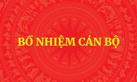 Bổ nhiệm Trợ lý Thủ tướng, Phó Thủ tướng Thường trực Chính phủ