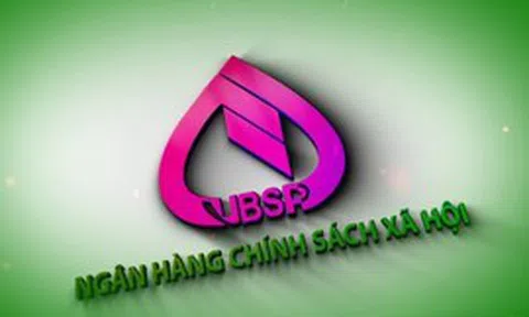 Bổ nhiệm kiêm giữ chức Ủy viên Hội đồng quản trị Ngân hàng Chính sách xã hội