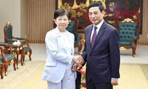 Phó Thủ tướng, Bộ trưởng Bộ Quốc phòng Phan Văn Giang tiếp Phó Tổng Thư ký Liên Hợp Quốc Izumi Nakamitsu