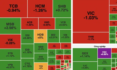 Áp lực từ cổ phiếu vốn hoá lớn, VN-Index giảm nhẹ dù thanh khoản cải thiện