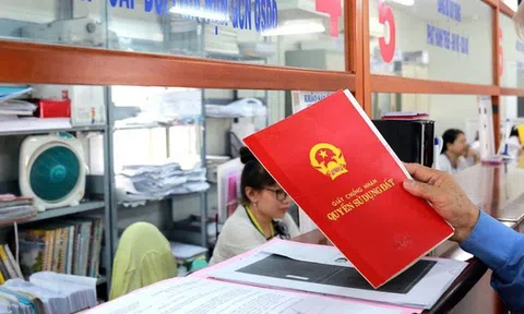 Đất đã bán một phần, phần còn lại sai sót về mục đích sử dụng đất, sổ đỏ có bị thu hồi?