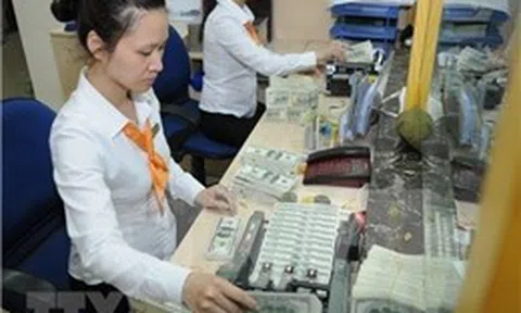 Đề xuất bổ sung Quyền rút vốn đặc biệt vào dự trữ ngoại hối nhà nước