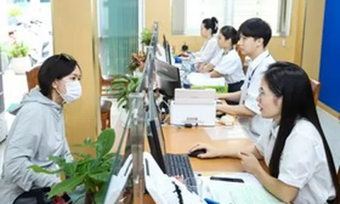 Quy định về vị trí việc làm viên chức áp dụng từ 1/7