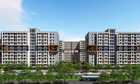 Hàng trăm gia đình chạm tới giấc mơ an cư sau một cú 'nhấp chuột'