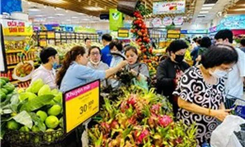 TP Hồ Chí Minh nhân rộng 'Tick xanh trách nhiệm' bữa ăn học đường