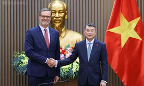 Thủ tướng tiếp Đại sứ Pháp: Pháp luôn coi trọng vai trò, vị thế ngày càng cao của Việt Nam