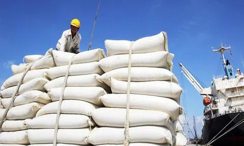 “Nỏ thần” nào cho ngành mía đường Việt Nam?