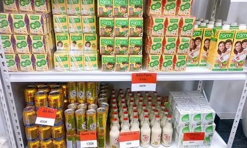 SỮA ĐẬU NÀNH FAMI VÀ MỐC SON TRÊN  HÀNH TRÌNH CHINH PHỤC THỊ TRƯỜNG QUỐC TẾ