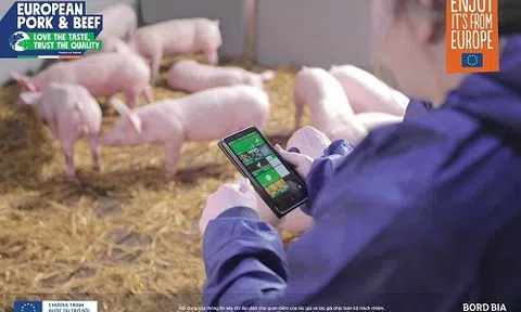 THỊT HEO CHÂU ÂU TỪ IRELAND - SỰ LỰA CHỌN ĐÁNG TIN CẬY