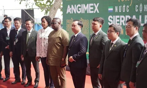 ANGIMEX KÝ HỢP ĐỒNG XUẤT KHẨU GẠO TRỊ GIÁ TỶ ĐÔ VỚI NƯỚC CH SIERRA LEONE