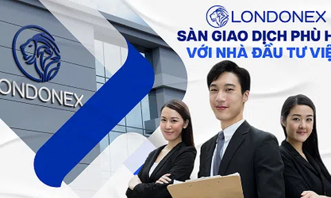 Giải Đáp Những Câu Hỏi Xung Quanh Sàn Londonex