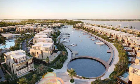 XUẤT HIỆN MÔ HÌNH BẤT ĐỘNG SẢN HÀNG HIỆU PHONG CÁCH SỐNG TẠI VIỆT NAM