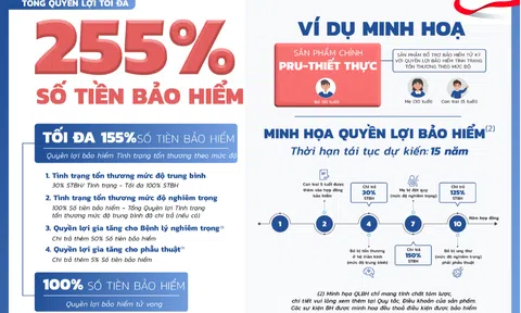 Prudential ra mắt PRU-Thiết Thực – Sản phẩm bảo hiểm theo tình trạng tổn thương của hệ cơ quan và chức năng của cơ thể