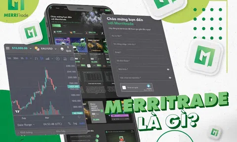 Đánh giá MerriTrade dưới góc nhìn của người tham dự và chuyên gia