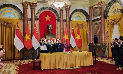 Cần Thơ trao quyết định chấp thuận chủ trương đầu tư dự án khu công nghiệp cho Vsip Group