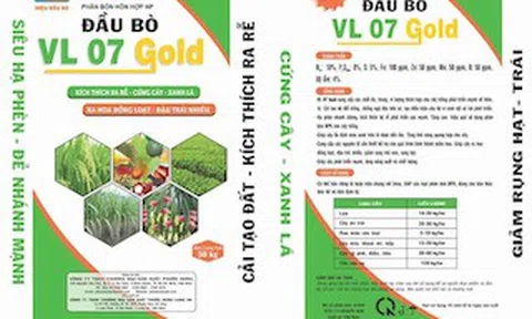 Phân bón Đầu Bò ra mắt sản phẩm mới hiệu quả trên đất mặn phèn