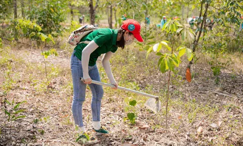 Nestlé Việt Nam cùng người tiêu dùng hành động chống lại biến đổi khí hậu, vì mục tiêu phát triển bền vững