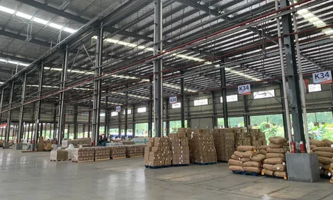 Shop cần lưu ý gì khi bán hàng và vận chuyển hàng xuyên biên giới