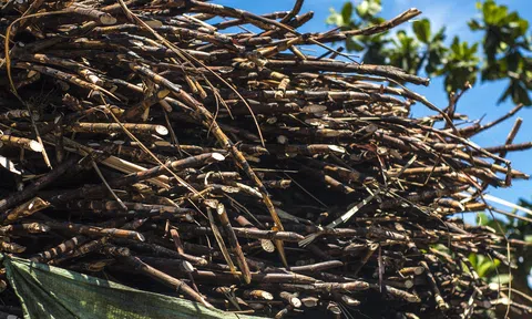 Quản lý cung cầu đường từ các nước – Bài học nào cho Việt Nam