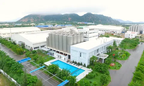 M&A trong ngành hàng tiêu dùng nhanh:  Xu hướng tái cấu trúc và bài học từ thương vụ SABECO – SABIBECO